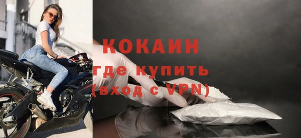 дживик Алзамай