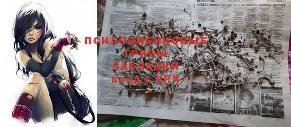 дживик Алзамай